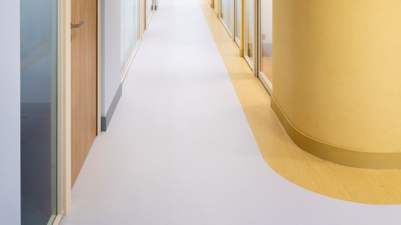 JetBrains opens a new office in Amsterdam - a showcase of modernity and sustainability